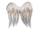 Angel wings